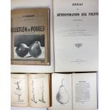 PEARS -- CHASSET, L. Essai de détermination des fruits. (Poires). Villefranche, 1928. W