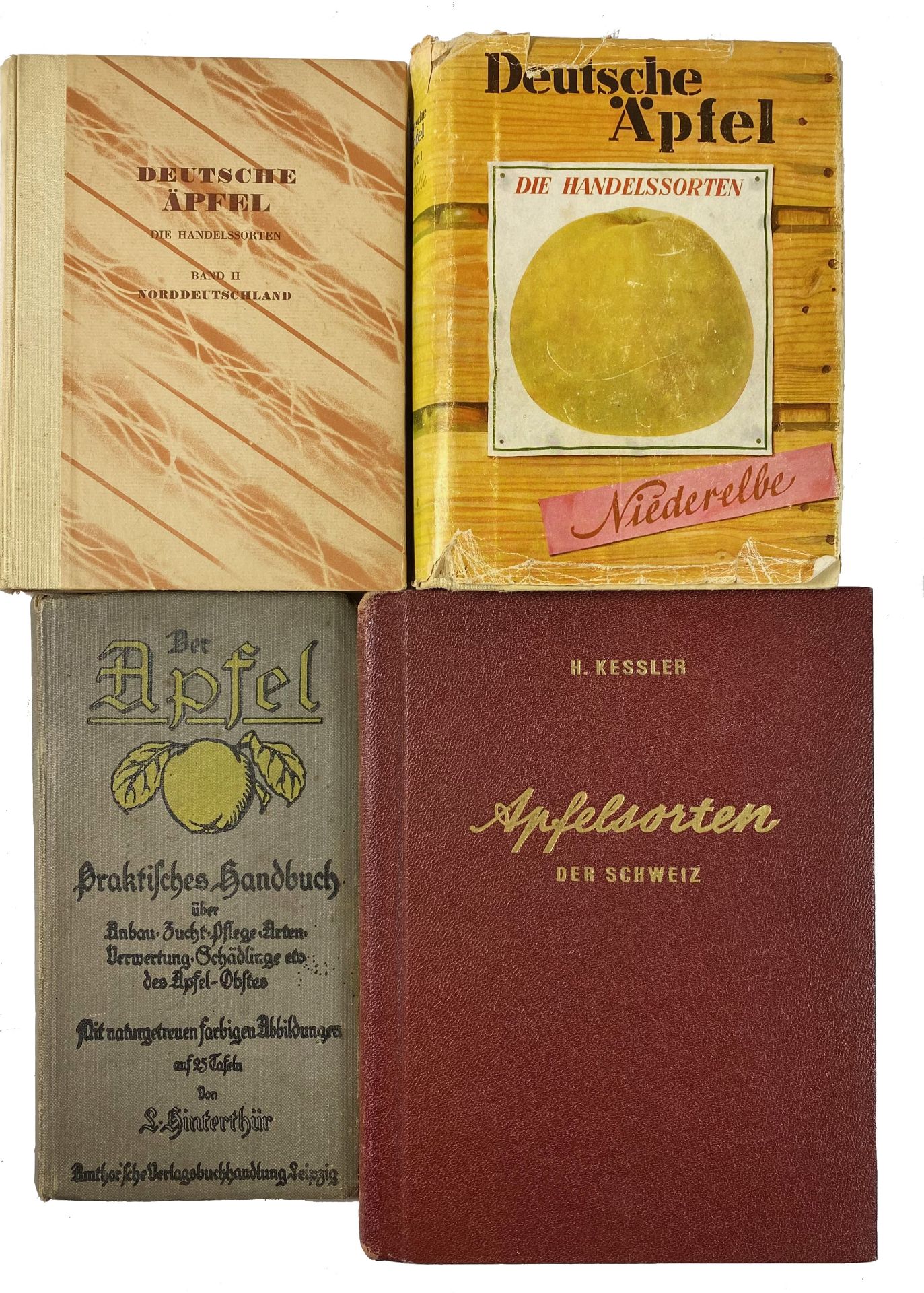 APPLES -- LOEWEL, E.L. & S. LABUS. Deutsche Äpfel, die Handelssorten. Bd. I: Niederelbe