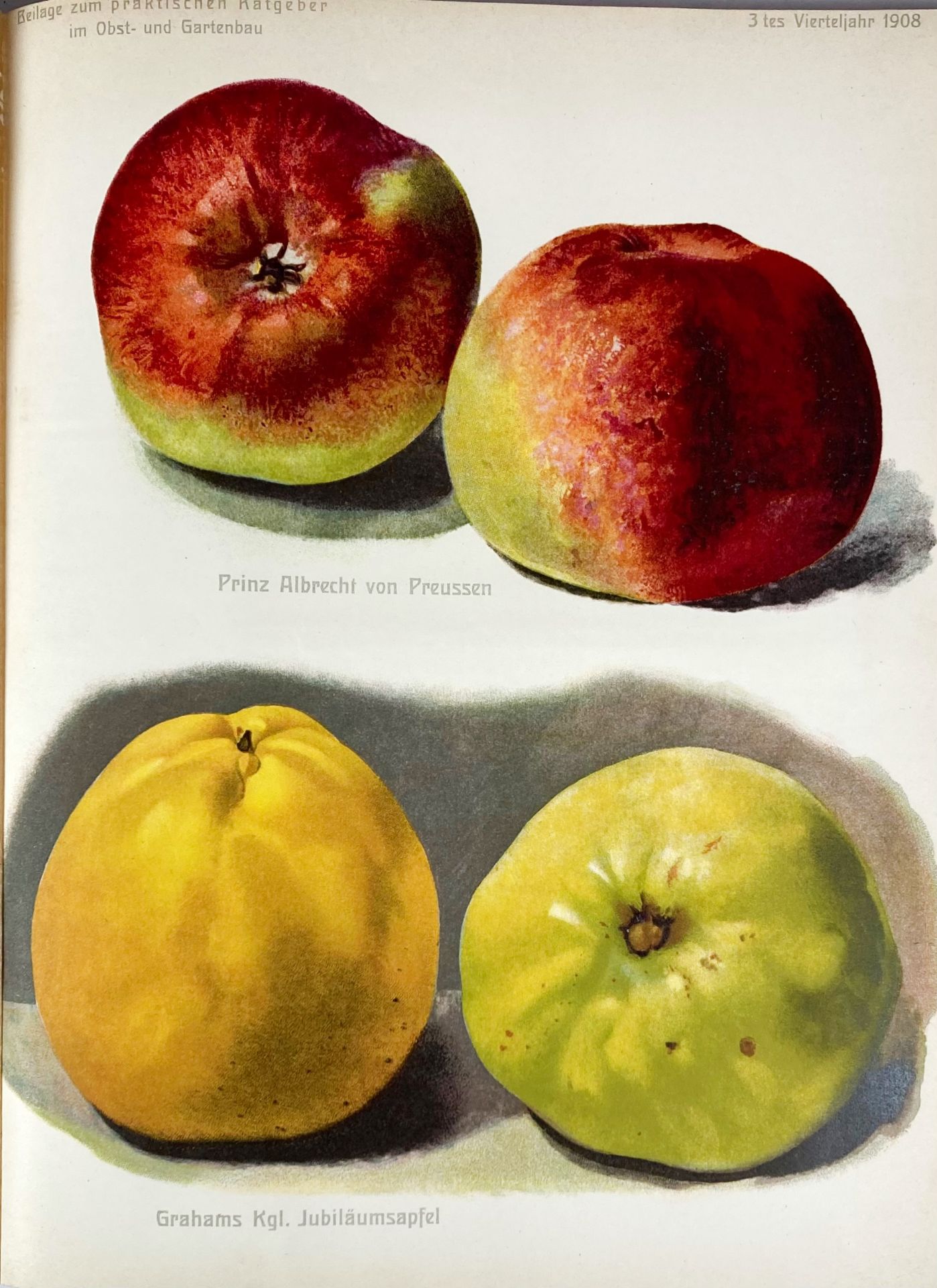 PERIODICALS/ANNUALS -- PRAKTISCHE RATGEBER IM OBST- UND GARTENBAU, DER. Frankf. am Oder - Image 4 of 4