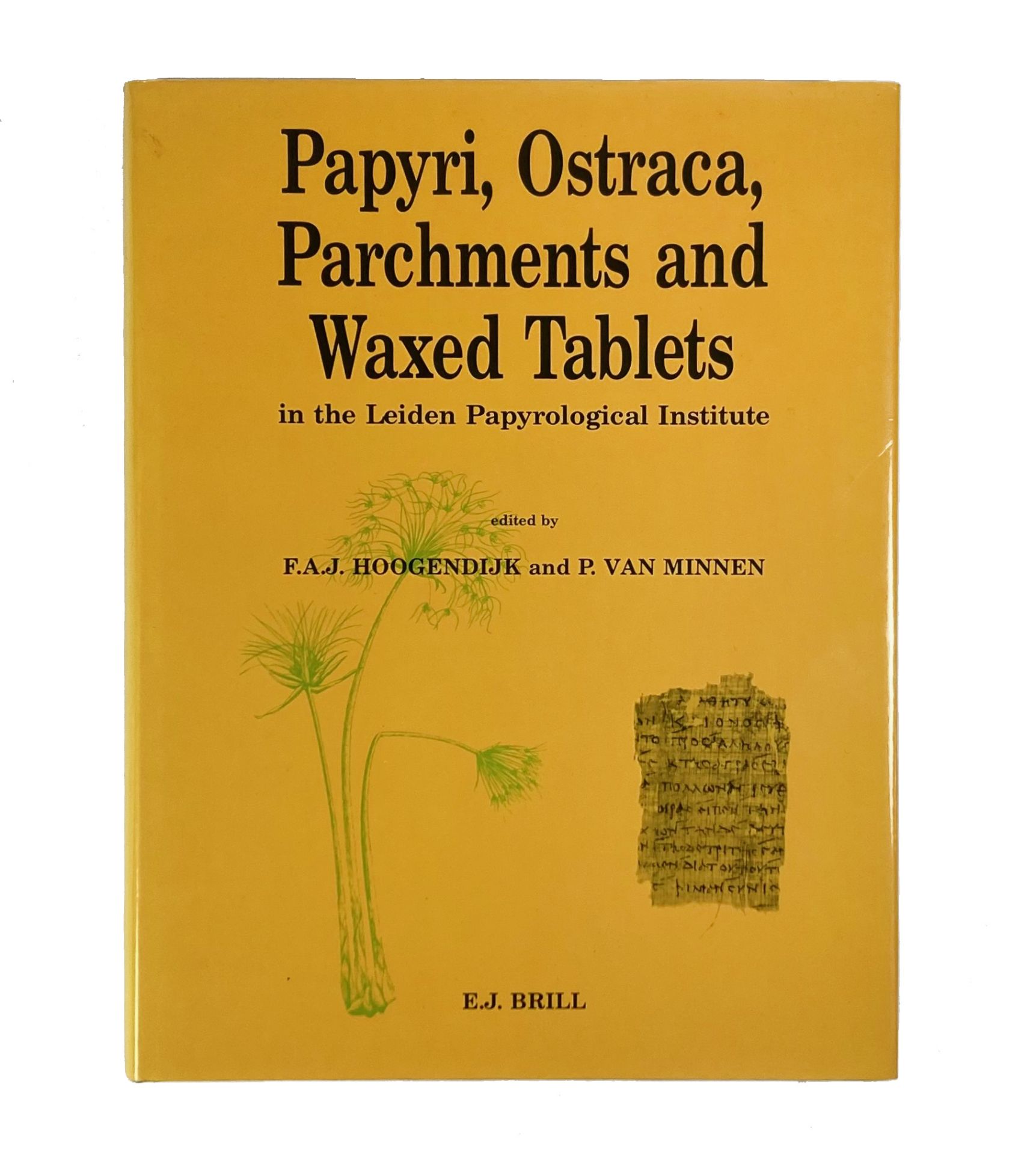 HOOGENDIJK, F.A.J. & P. v. MINNEN, eds. Papyri, ostraca, parchments and waxed tablets