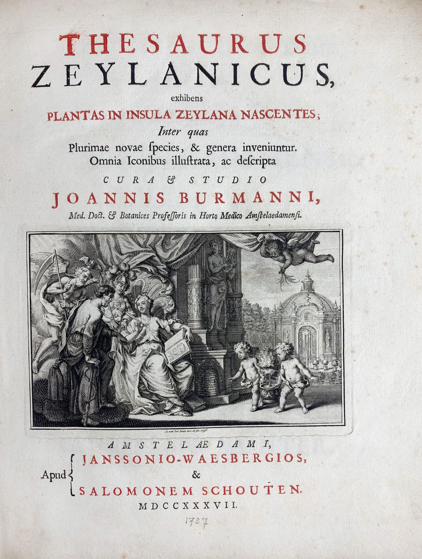 BOTANY -- BURMANN, J. Thesaurus Zeylanicus, exhibens plantas in insula Zeylana nascentes; inter - Bild 2 aus 7