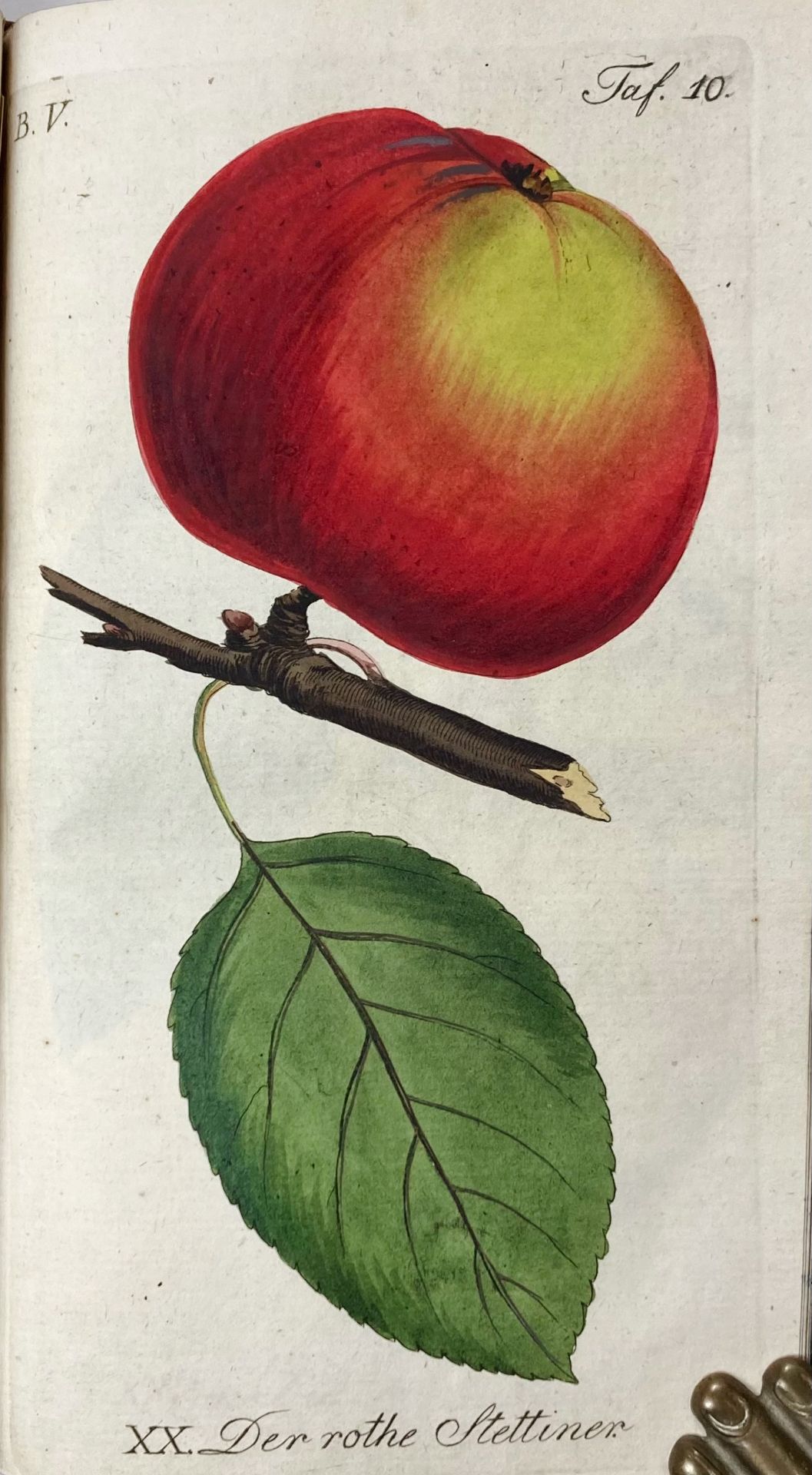 SICKLER, J.V., hrsg. Der teutsche Obstgärtner oder gemeinnütziges Magazin der Obstbaues in - Bild 3 aus 7