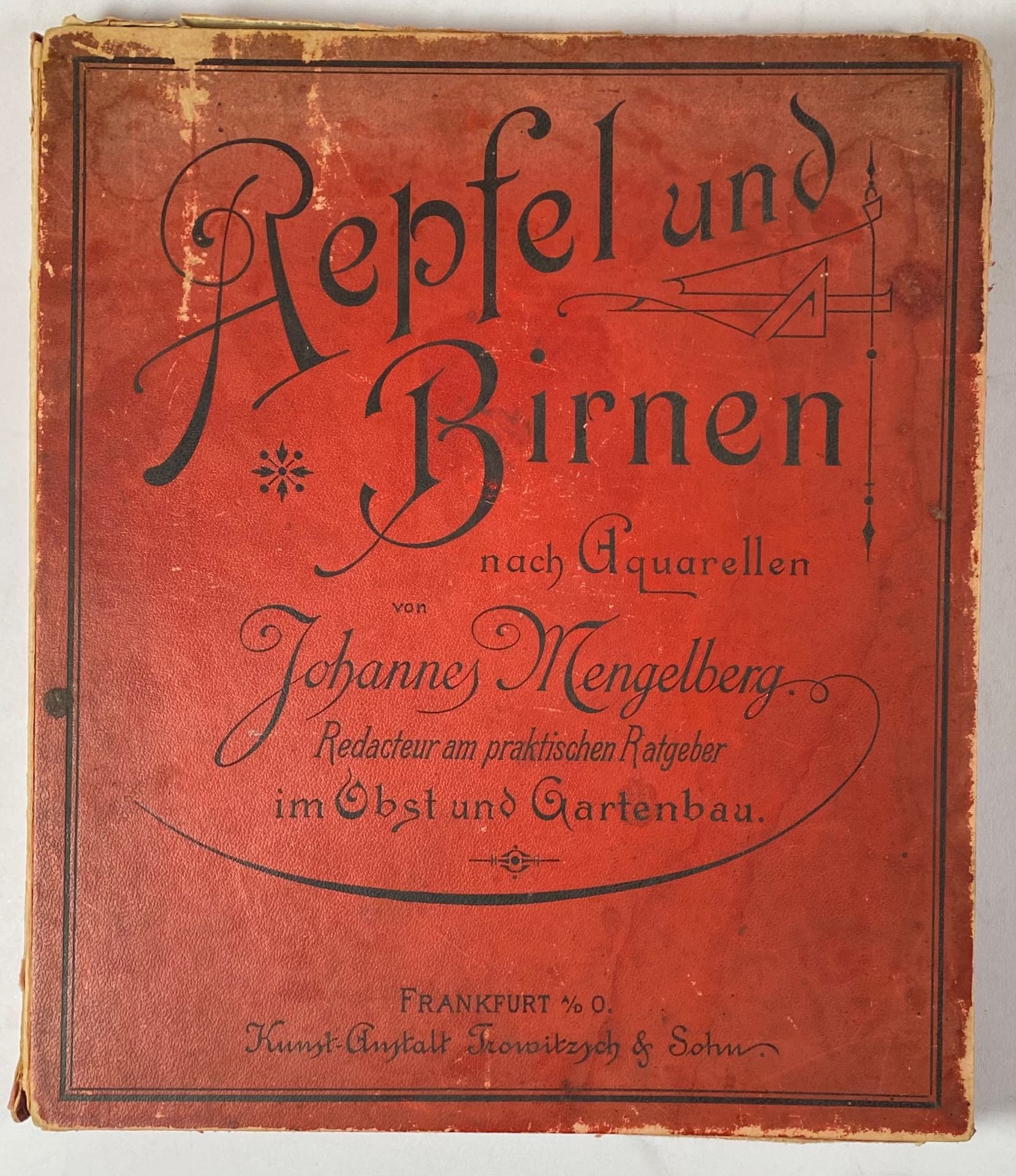 APPLES & PEARS -- MENGELBERG, J. Aepfel und Birnen. Frankf. a/d O., Kunst - Bild 2 aus 4