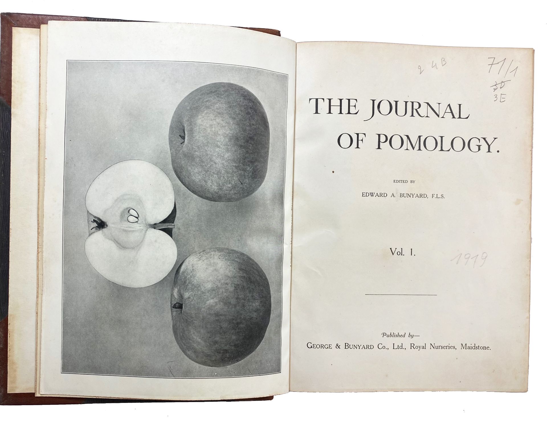 PERIODICALS/ANNUALS -- JOURNAL OF POMOLOGY, THE. Vols. 1-2. - Continued as: THE JOURNAL - Image 2 of 2