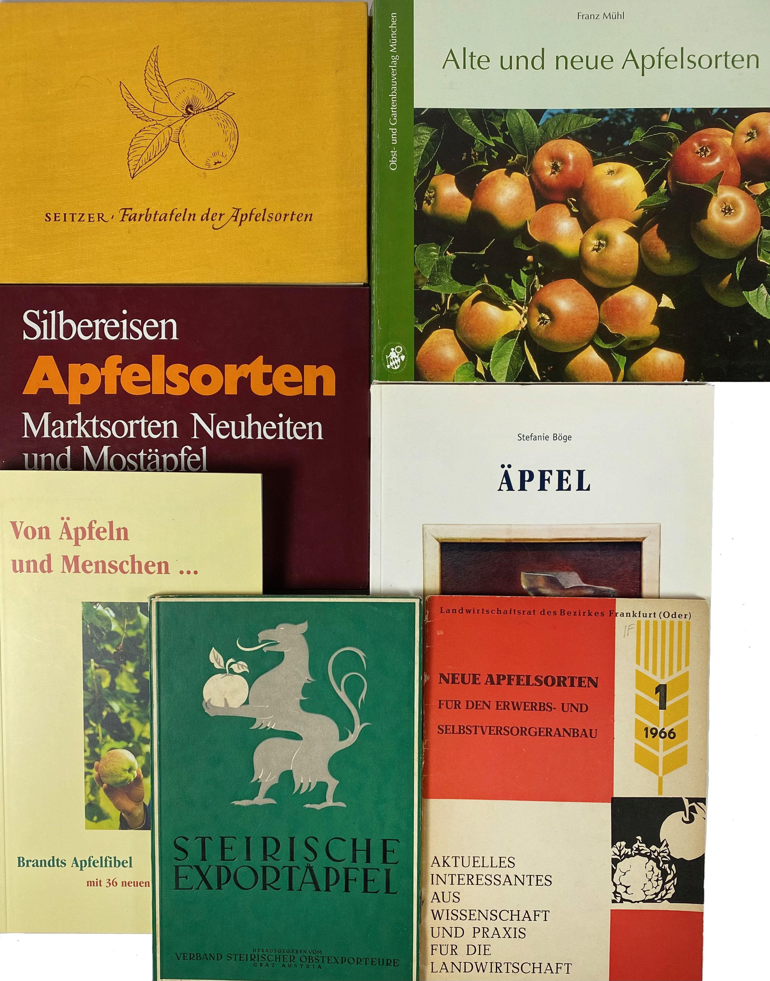 APPLES -- LOEWEL, E.L. & S. LABUS. Deutsche Äpfel, die Handelssorten. Bd. I: Niederelbe - Image 2 of 2