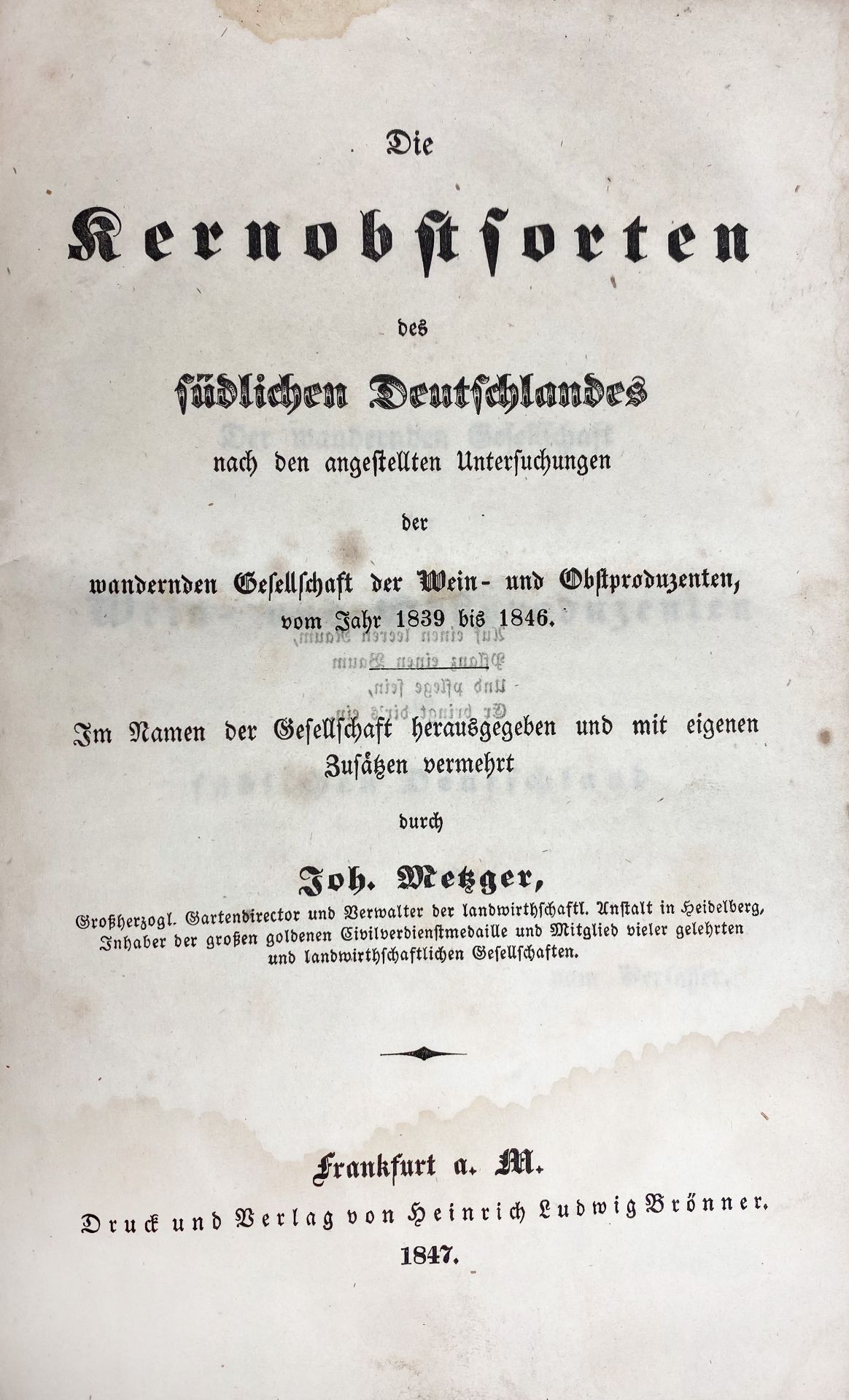 APPLES & PEARS -- VOTTELER, W. Verzeichnis der Apfel- und Birnensorten. (3. Aufl. 1993 - Bild 2 aus 2