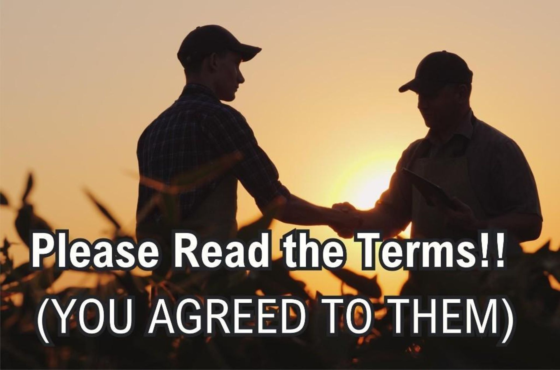 STOP!! (THE STUFF YOU AGREED TO!!) READ NOW!! TERMS & CONDITIONS!! 1104