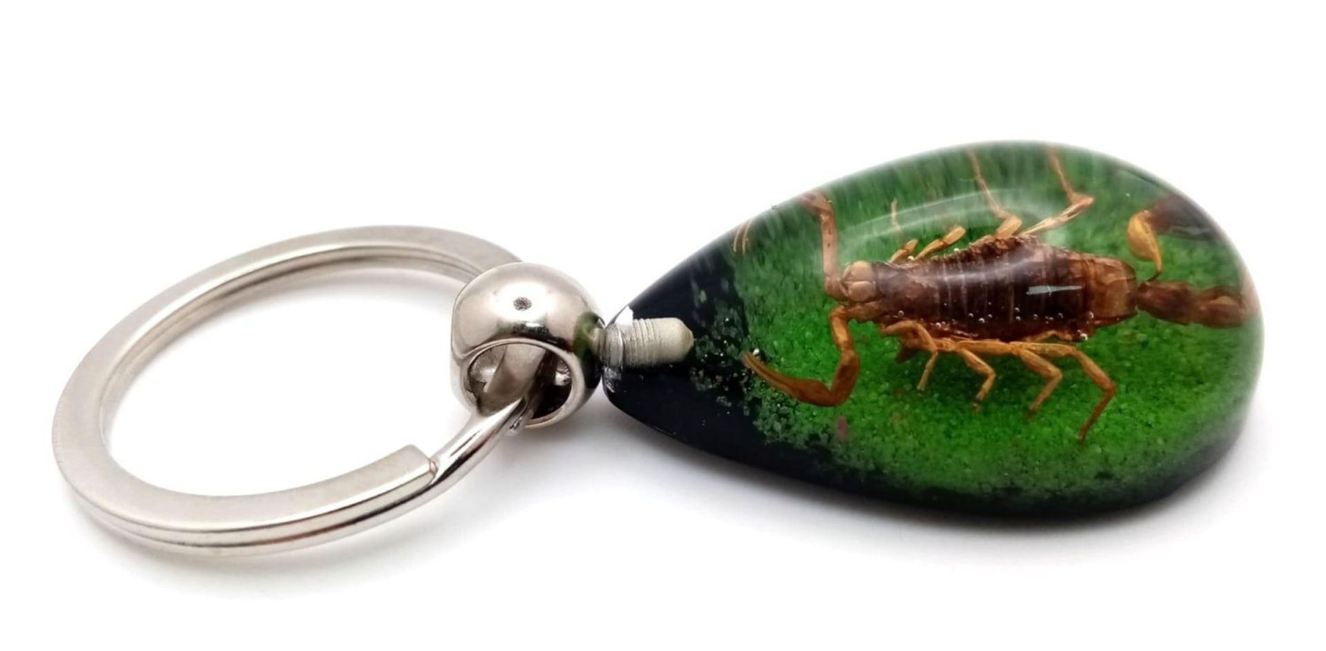 A Scorpion Keyring! 7cm - Image 3 of 3