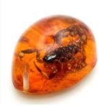 'You Call That a Scorpion?' In amber coloured resin. Pendant or paperweight. 6cm.