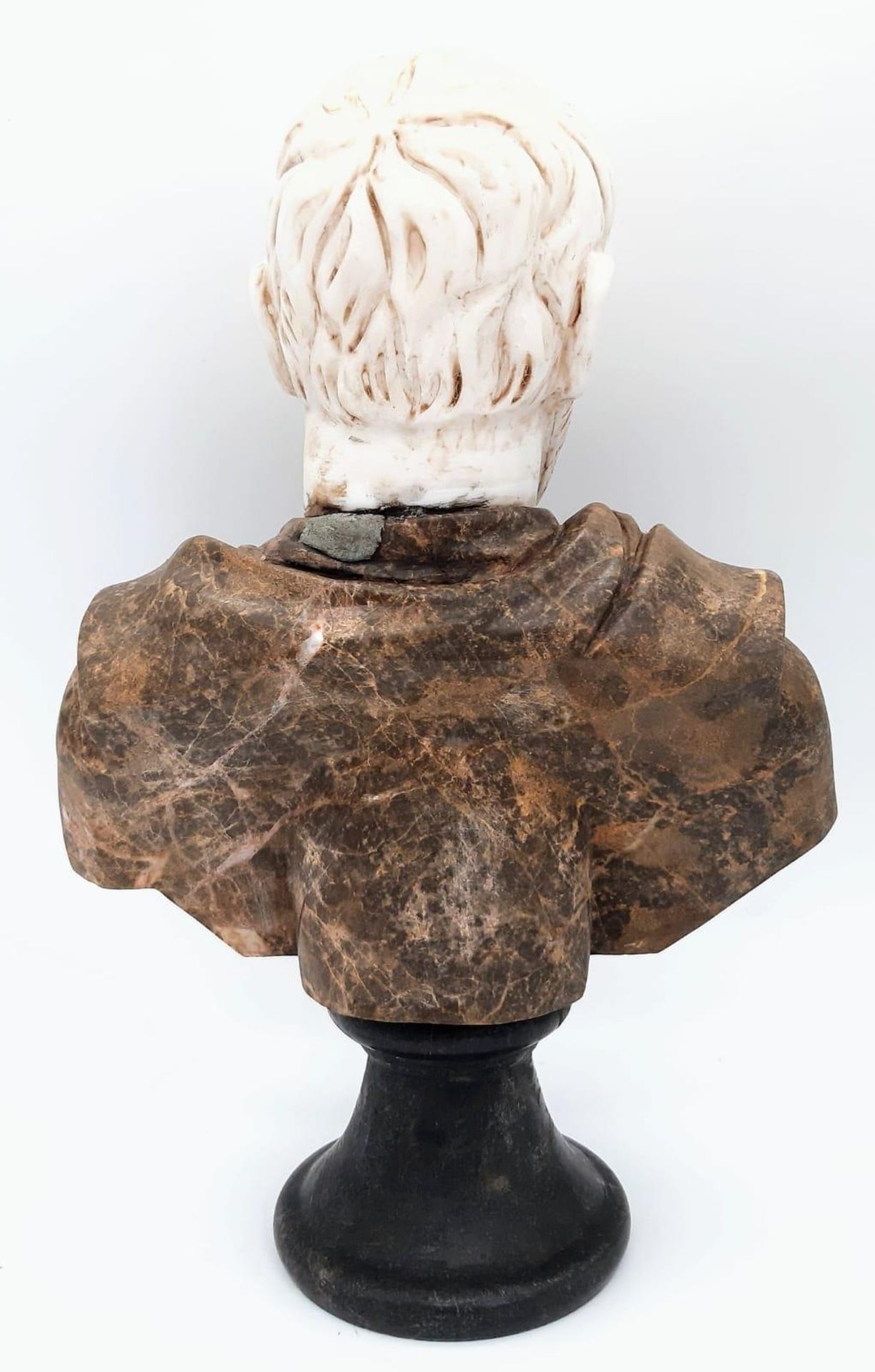 A Marble Bust of Distinct Grandeur. A black marble base, leads to a wonderfully selected veiny brown - Image 3 of 6