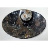 A very ornamental oval plate with a large polished Moroccan Devonian Ammonite (app 400 million years