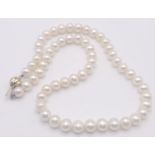 A Cultured White Pearl Necklace with a 9K Yellow Gold Clasp. 42cm.