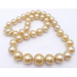 Luxurious Fresh Water Pearl Necklace with an ornate 18kt Yellow Gold Vintage Clasp. Measures 44cm in