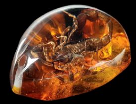 The Scorpion King Needs a Queen. Pendant or paperweight. 5cm.