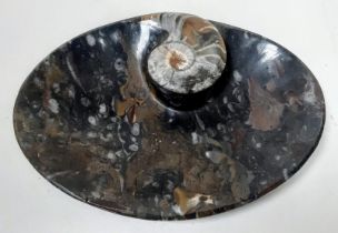 A very ornamental oval plate with a large polished Moroccan Devonian Ammonite (app 400 million years