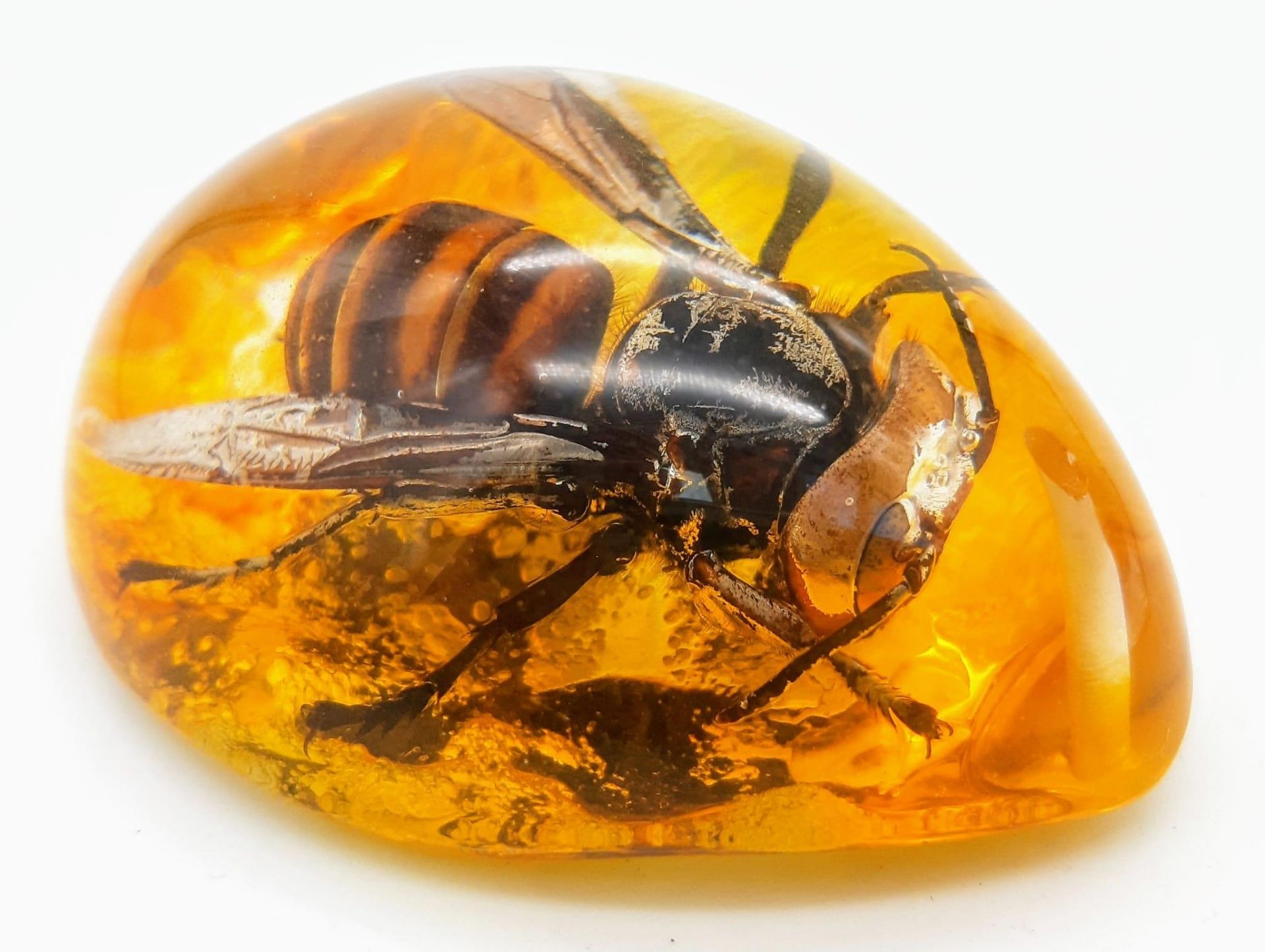 A Humongous Asian Hornet in Amber Resin - Pendant or Paperweight. 6cm - Bild 2 aus 4