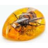 A Humongous Asian Hornet in Amber Resin - Pendant or Paperweight. 6cm