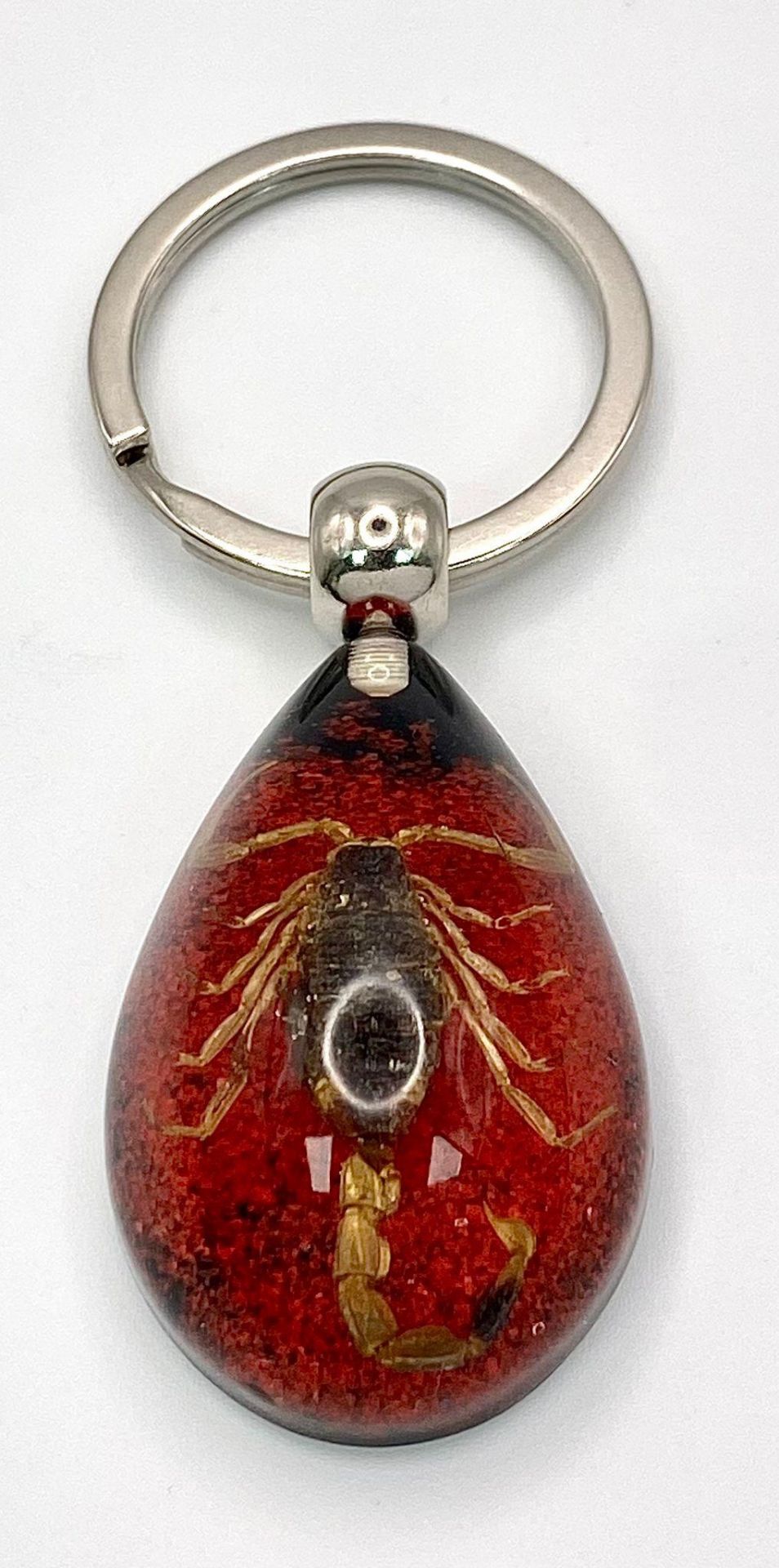 A Scorpion Key Ring. As new.