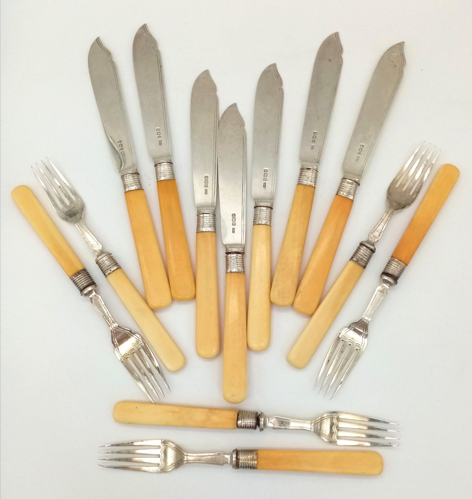 A Set of 13 Antique Sterling Silver Fish Knives and Forks. Bone handles. Hallmarks for Sheffield