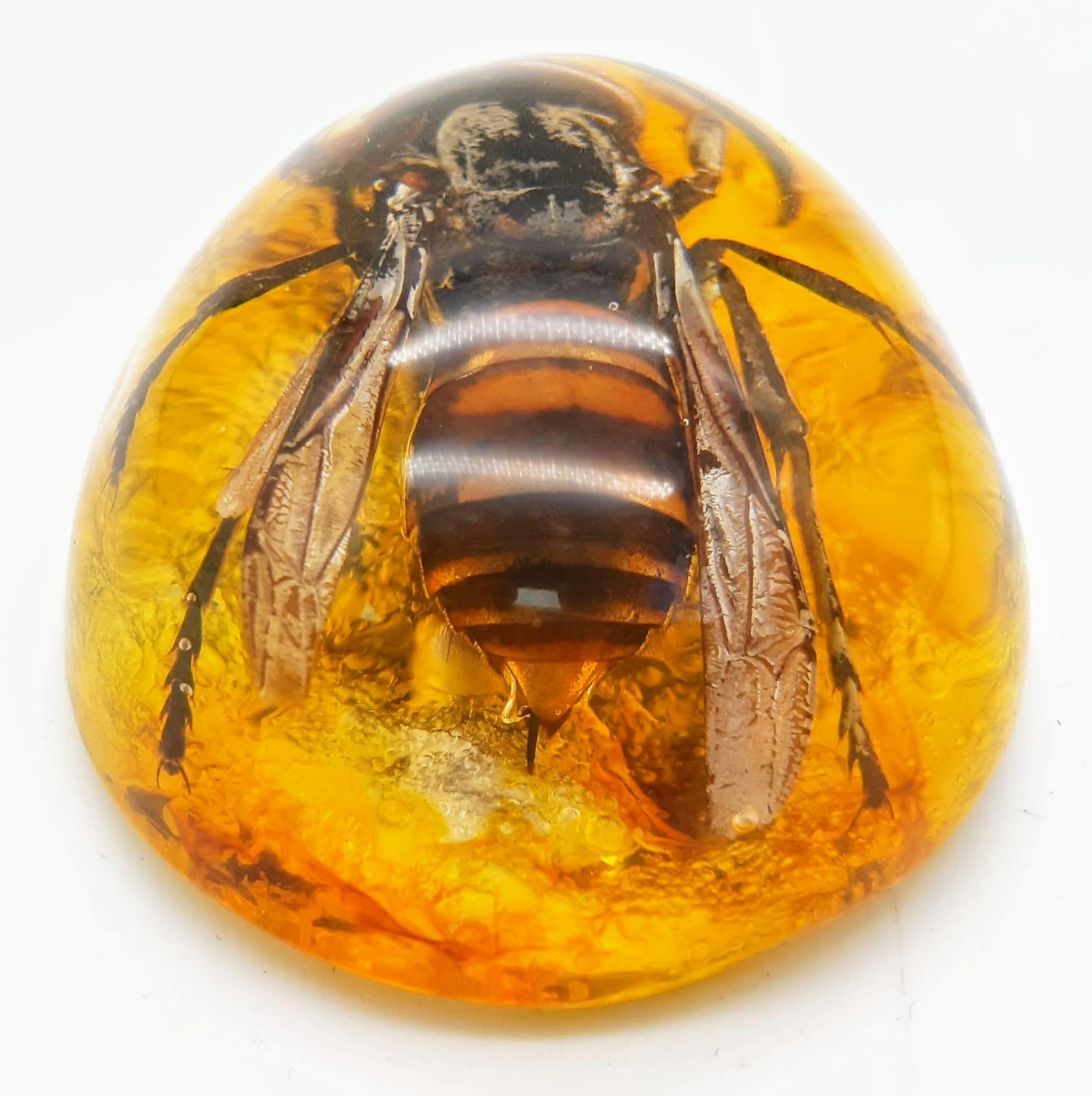 A Humongous Asian Hornet in Amber Resin - Pendant or Paperweight. 6cm - Bild 4 aus 4
