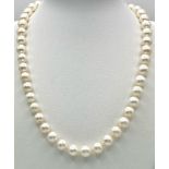 A Cultured White Pearl Necklace with a 9K Yellow Gold Clasp. 42cm length.