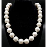 An Immense (20mm) Beaded South Sea Pearl Shell White Necklace. Huge glowing statement beads make a