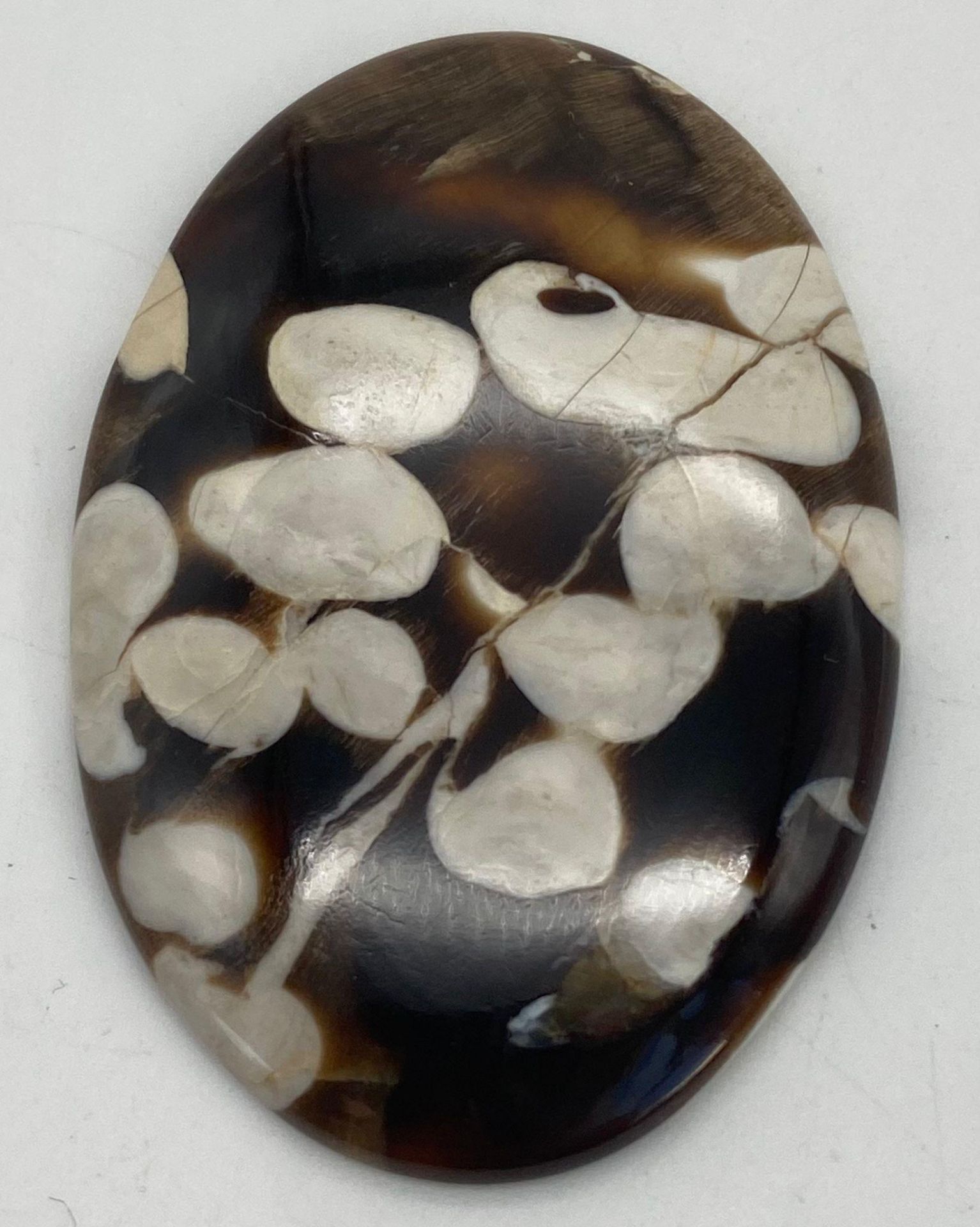A palaeontological gem, a large (62 carats), unusual, petrified driftwood, often called PEANUT WOOD, - Image 3 of 3