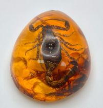 A Menacing Looking Scorpion Resides in Amber Resin. Pendant or paperweight. 6cm