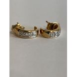 9 carat GOLD and DIAMOND EARRINGS. Complete with gold backs. Please see pictures.