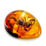 A Large Scorpion in Amber Coloured Resin Pendant. 6cm