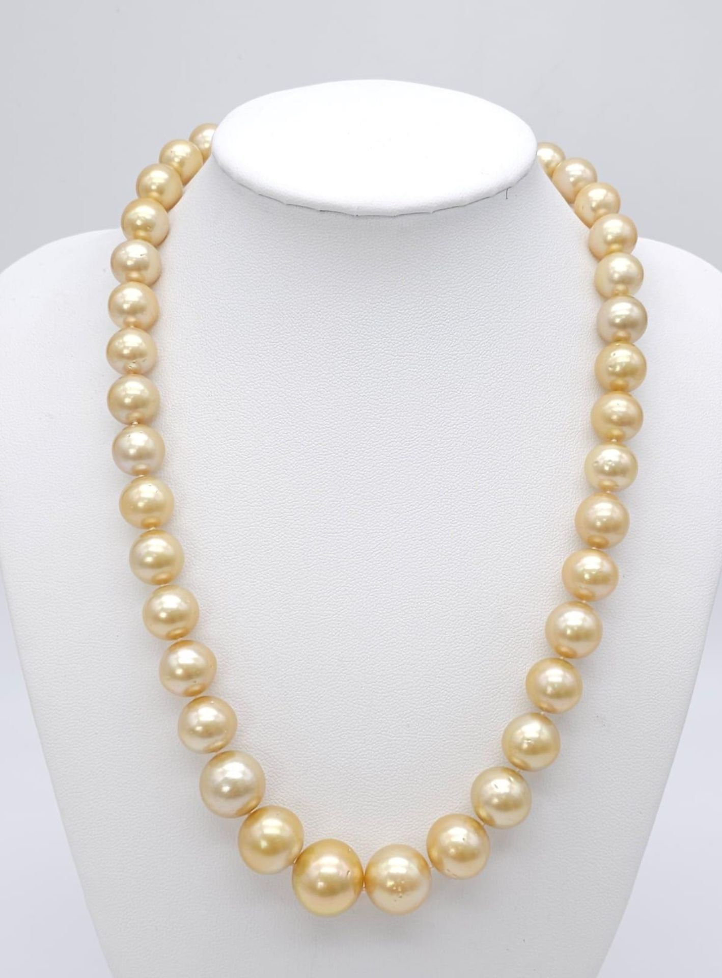 Luxurious Fresh Water Pearl Necklace with an ornate 18kt Yellow Gold Vintage Clasp. Measures 44cm in - Bild 6 aus 6