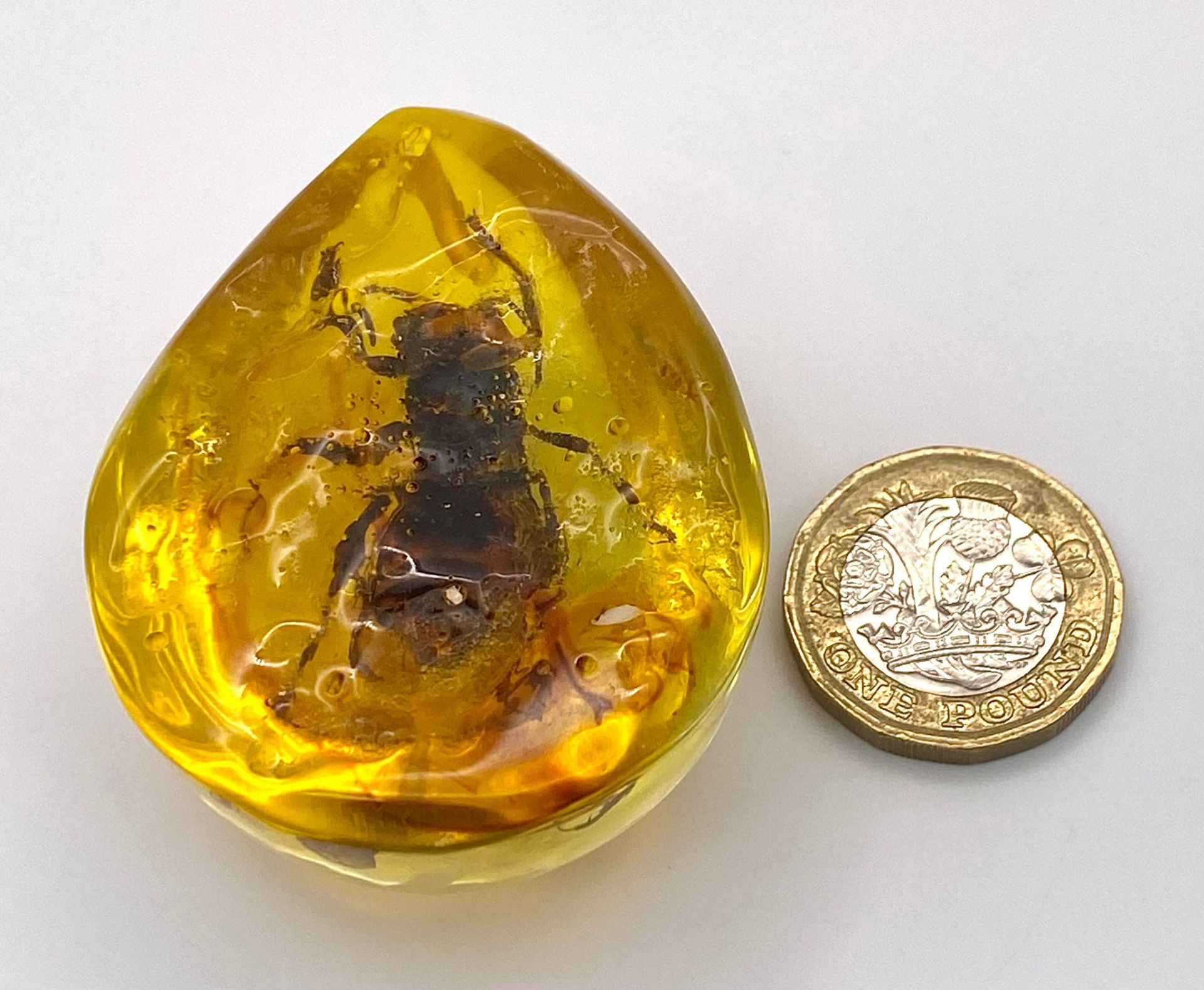 A Humongous Asian Hornet in Amber Resin - Pendant or Paperweight. 6cm - Image 3 of 3