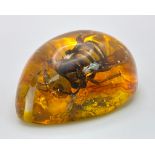 A Humongous Asian Hornet in Amber Resin - Pendant or Paperweight. 6cm