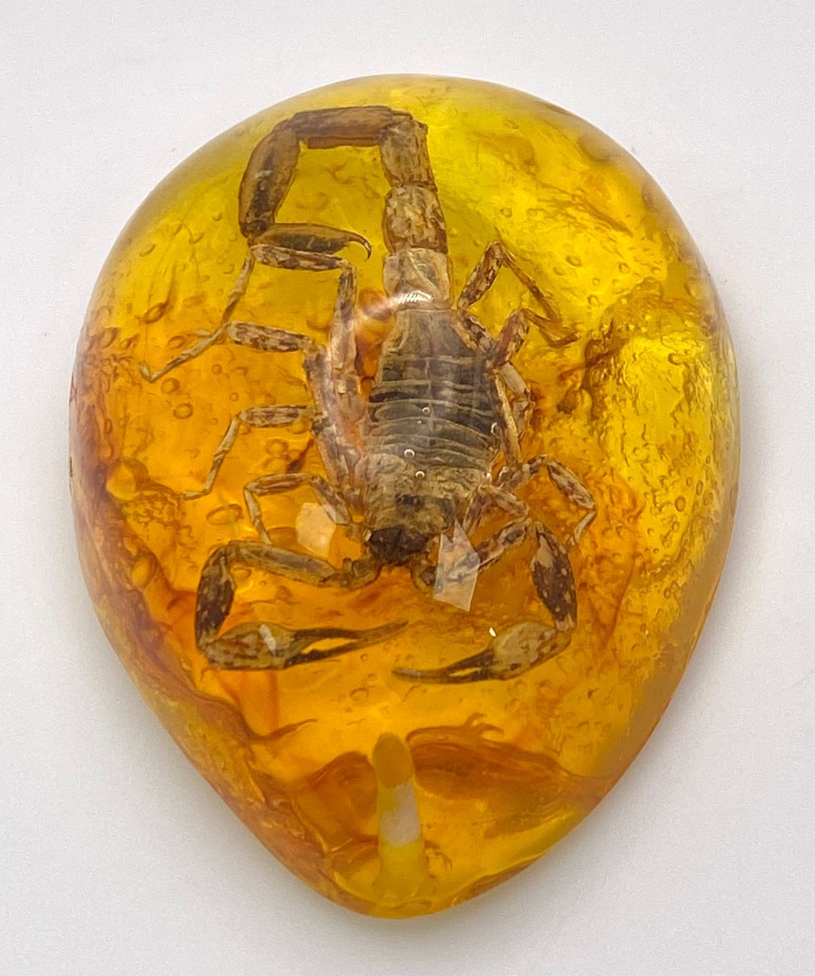 A Terrifying Scorpion Trapped in Amber Resin -Pendant/Paperweight. 6cm - Image 2 of 3