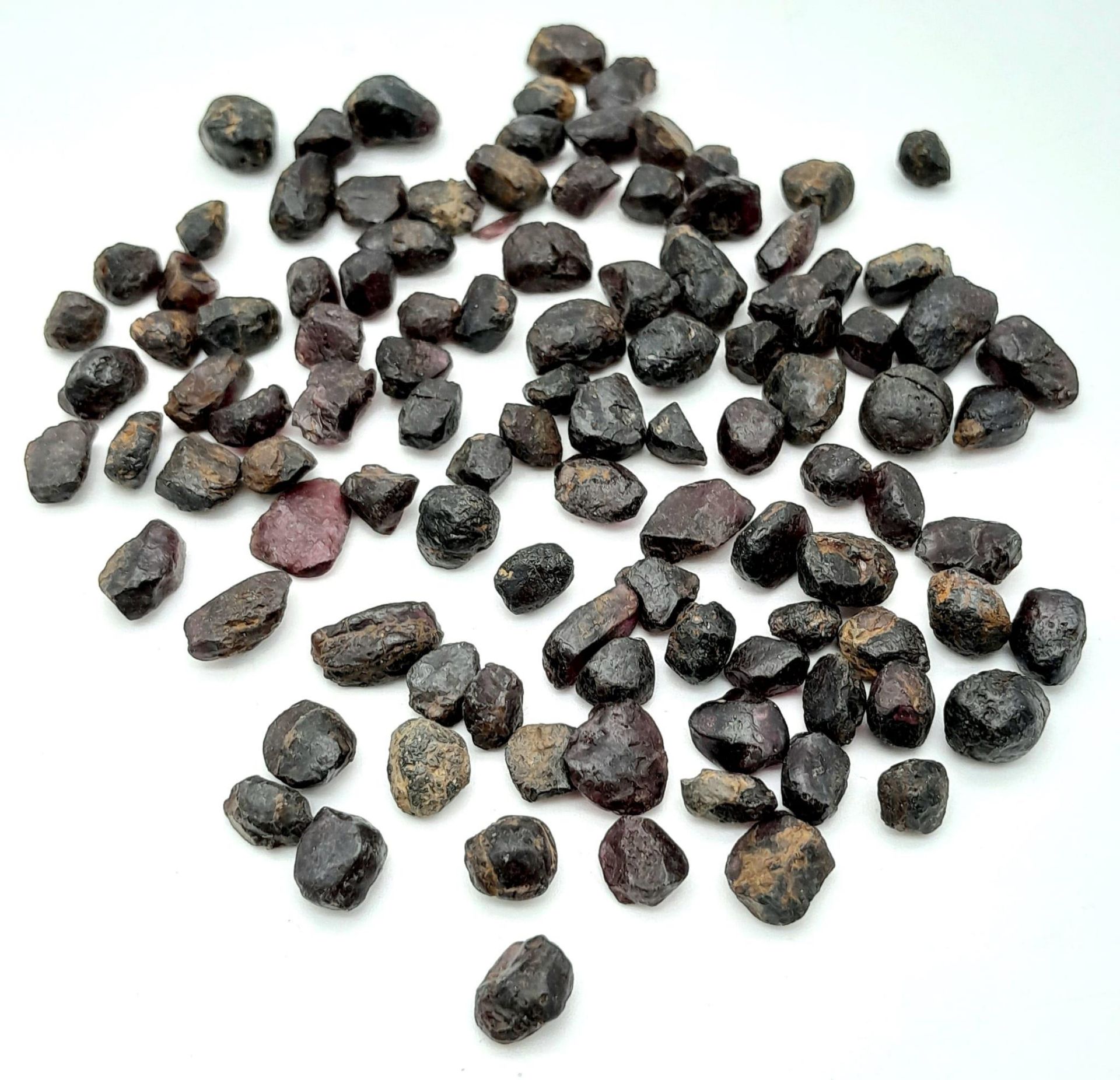 A 292.05ct Rough Black Spinel Gemstones Lot. GLI Certified.