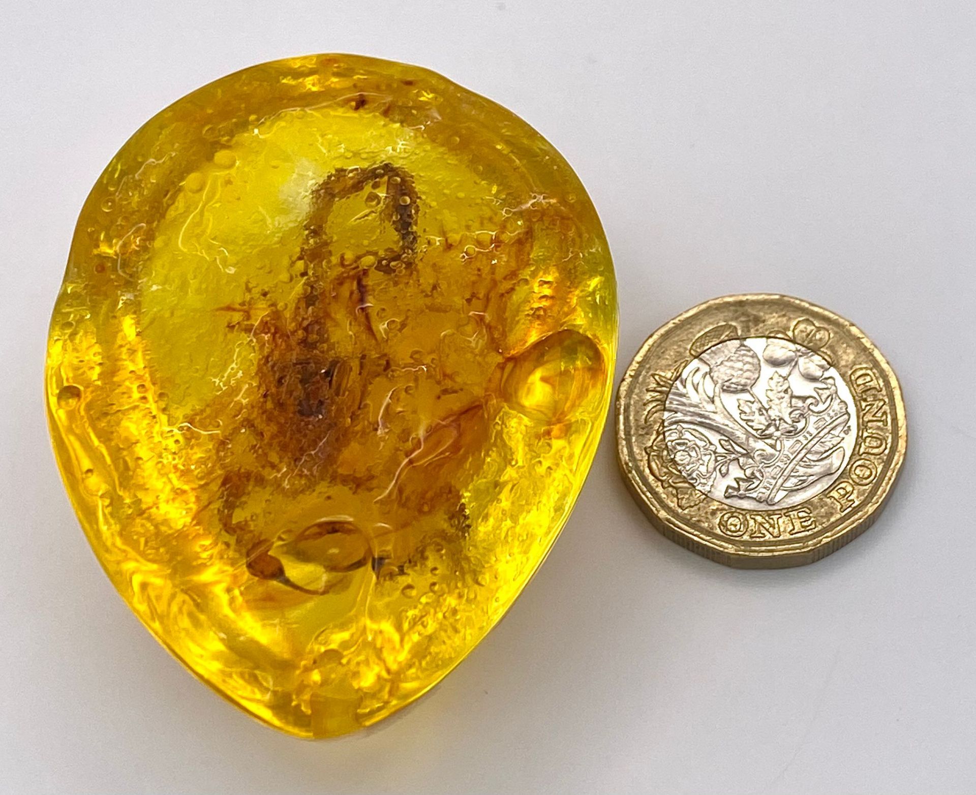 A Terrifying Scorpion Trapped in Amber Resin -Pendant/Paperweight. 6cm - Image 3 of 3