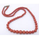 A Graduating Vintage Orange Coral Beaded Necklace. Measures 48cm in length with a vintage twist