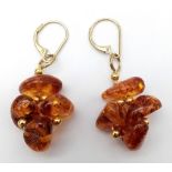 A Pair of Amber Cluster Earrings set in 9K Gold Earrings. 6g total weight. 3cm drop