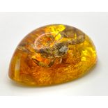 A Terrifying Scorpion Trapped in Amber Resin -Pendant/Paperweight. 6cm