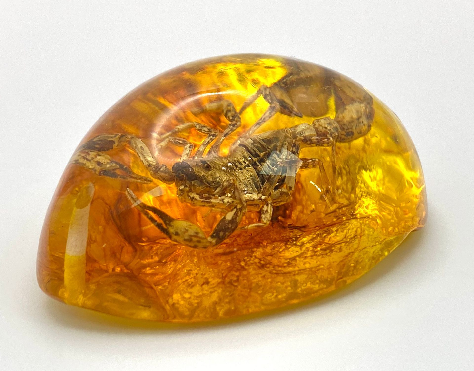 A Terrifying Scorpion Trapped in Amber Resin -Pendant/Paperweight. 6cm
