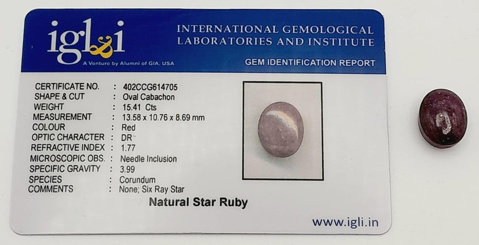 A 15.41ct Natural Star Ruby, in the Oval Cabochon shape. Comes with the IGLI Certificate. ref: ZK - Image 6 of 6