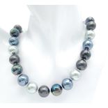 A Vibrant Metallic Shades of Grey South Sea Pearl Shell Necklace. 14mm beads. 42cm necklace length.