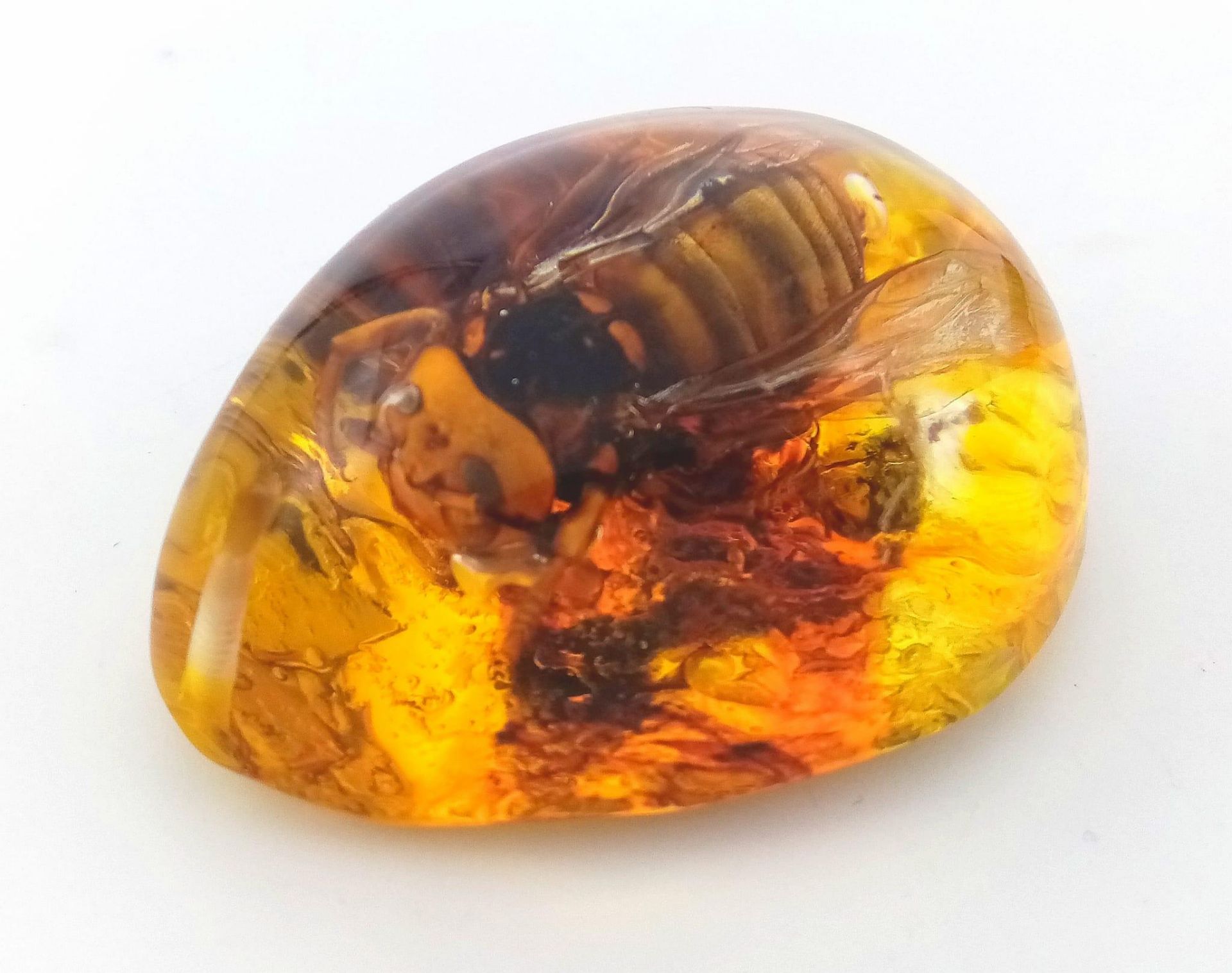 A Gargantuan Asian Hornet Regrets Stinging the Amber Resin Pendant Lord. Pendant or paperweight. 6cm