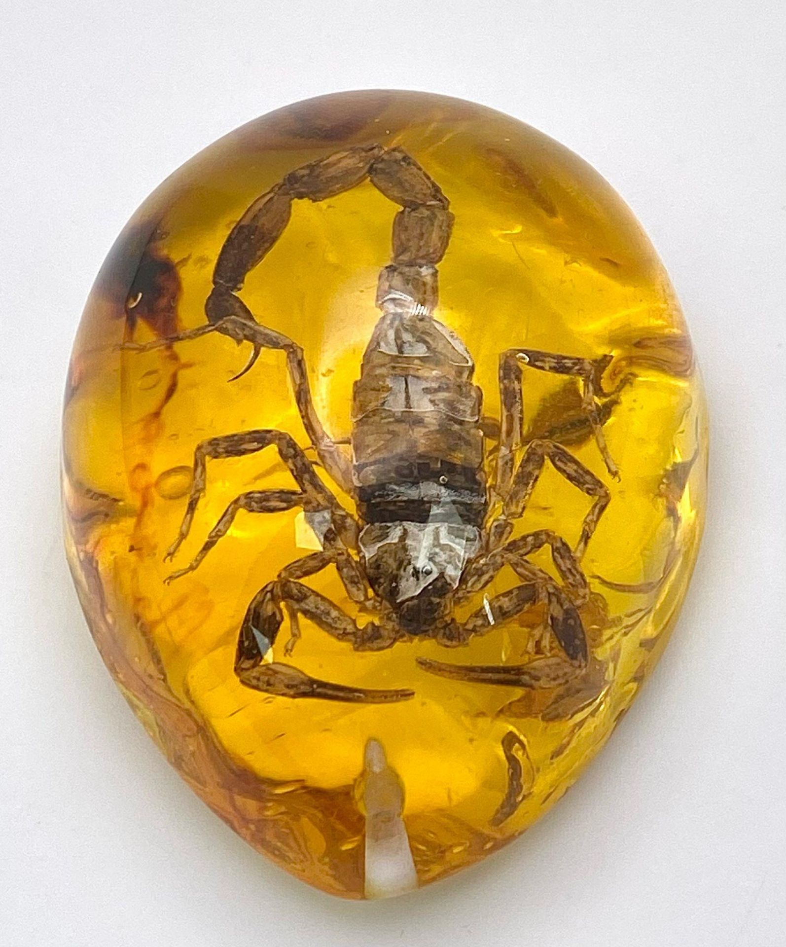 A Scorpion that is Not Concerned with WW3. Amber resin - pendant or paperweight. 6cm. - Bild 2 aus 5