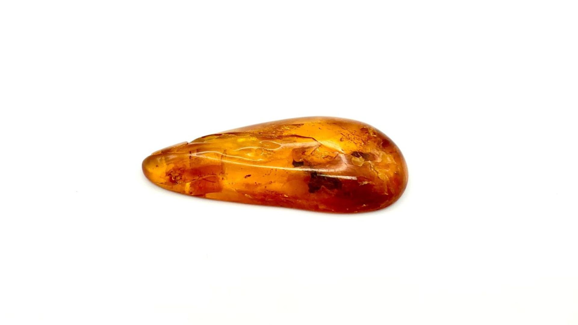 Amber Trillion Slice with Mosquito Inside. 5cm