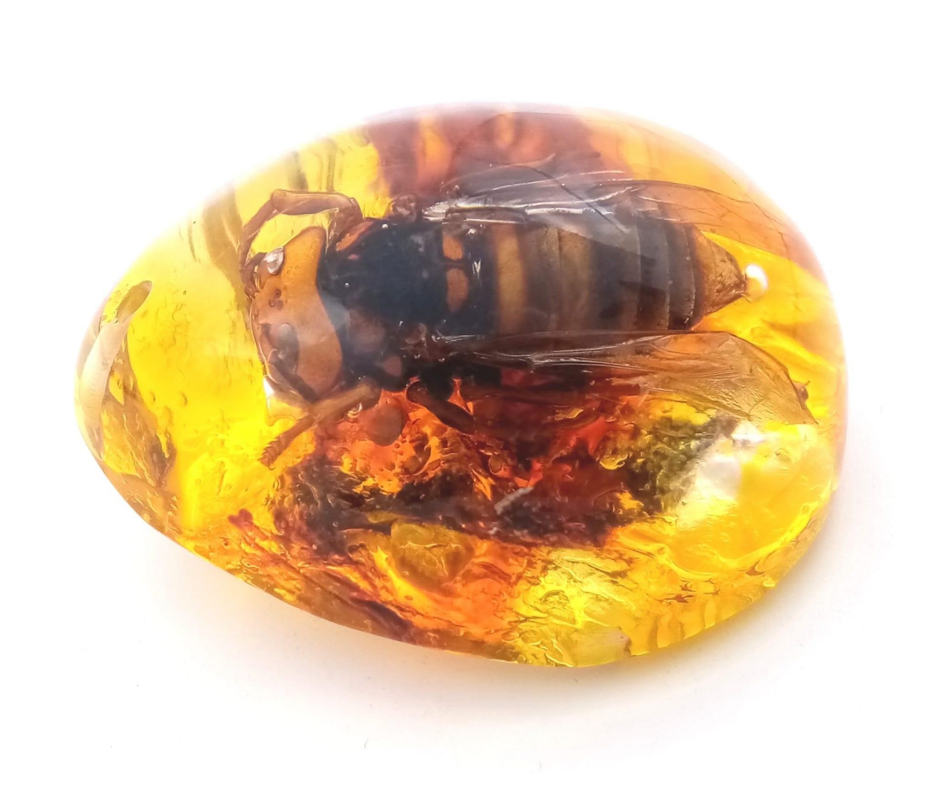 A Gargantuan Asian Hornet Regrets Stinging the Amber Resin Pendant Lord. Pendant or paperweight. 6cm - Bild 6 aus 9