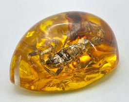 A Scorpion that is Not Concerned with WW3. Amber resin - pendant or paperweight. 6cm.