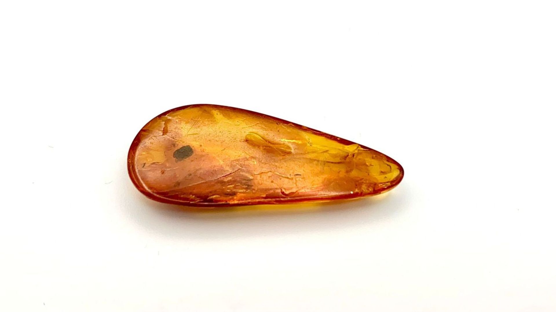 Amber Trillion Slice with Mosquito Inside. 5cm - Bild 2 aus 2