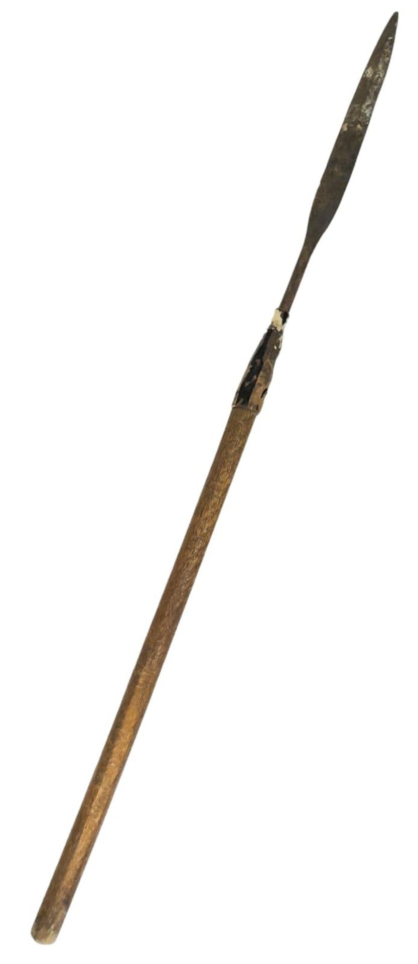 An Antique 19th Century Zulu Assegai. 100cm Length. Possibly Early 20th Century Replcament Shaft.