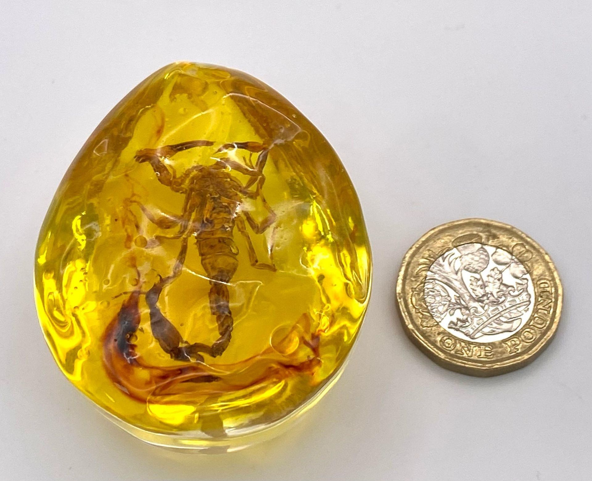 A Scorpion that is Not Concerned with WW3. Amber resin - pendant or paperweight. 6cm. - Bild 4 aus 5